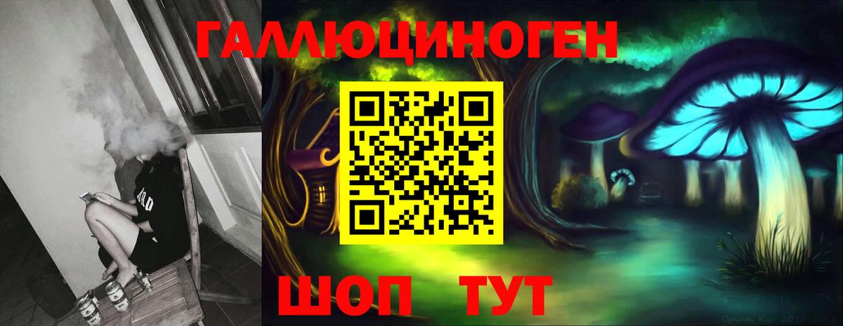 Элиста  Галлюциногенные грибы прущие грибы  Вход с VPN 